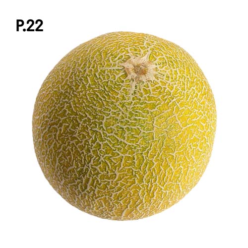 Přírodopis_motiv22.jpg Přírodopis_motiv22.jpg